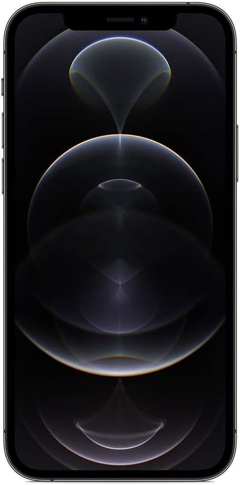 IPhone 12 Pro Max 256GB Gray